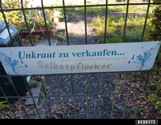 Unkraut zu verkaufen... - Lustige Bilder | DEBESTE.de