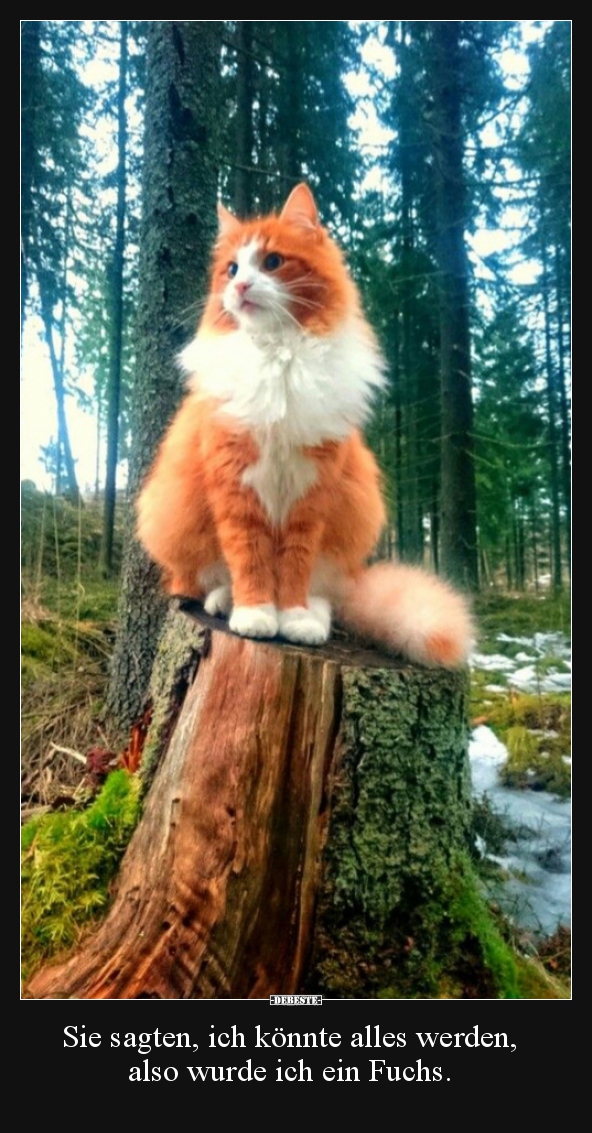 Sie sagten, ich könnte alles werden, also wurde ich ein..