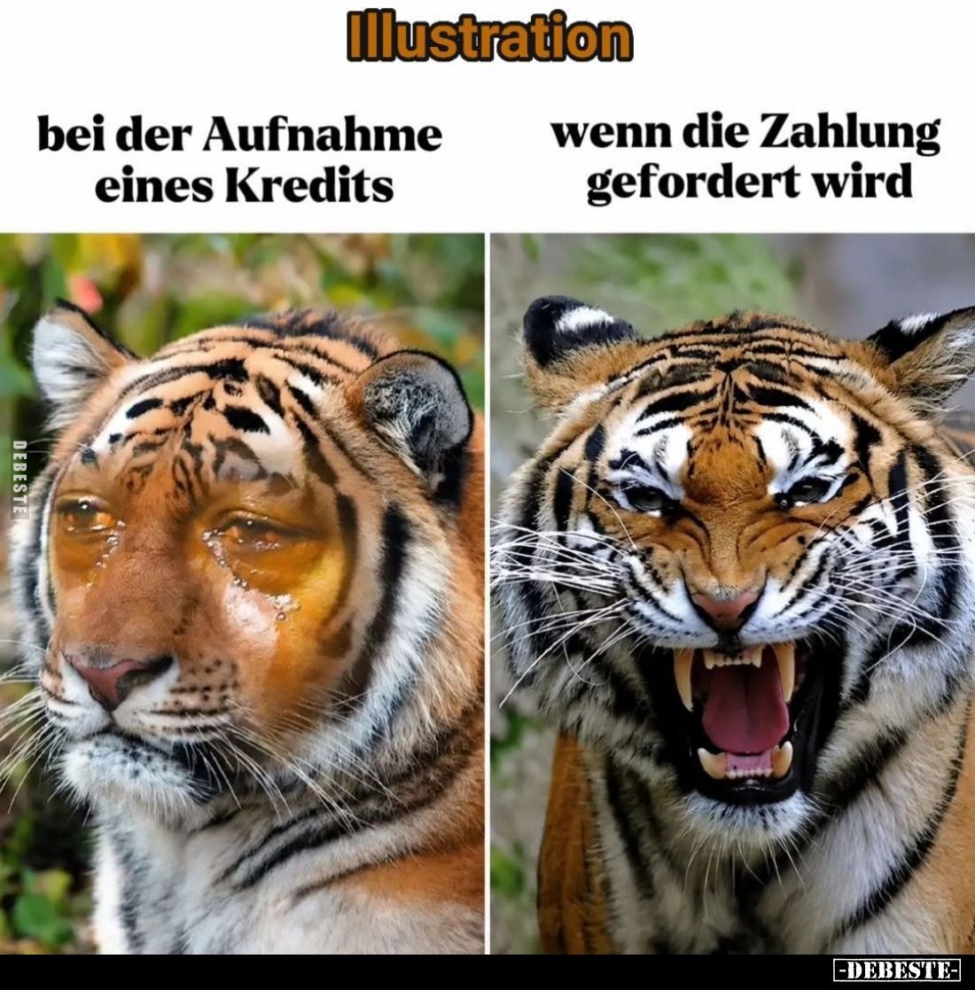 Illustration
bei der Aufnahme eines Kredits vs
Wenn die Zahlung gefordert wird.