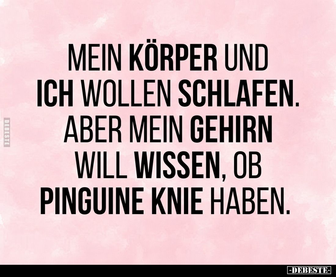 Mein Körper und ich wollen schlafen.
Aber mein Gehirn will wissen, ob Pinguine Knie haben.