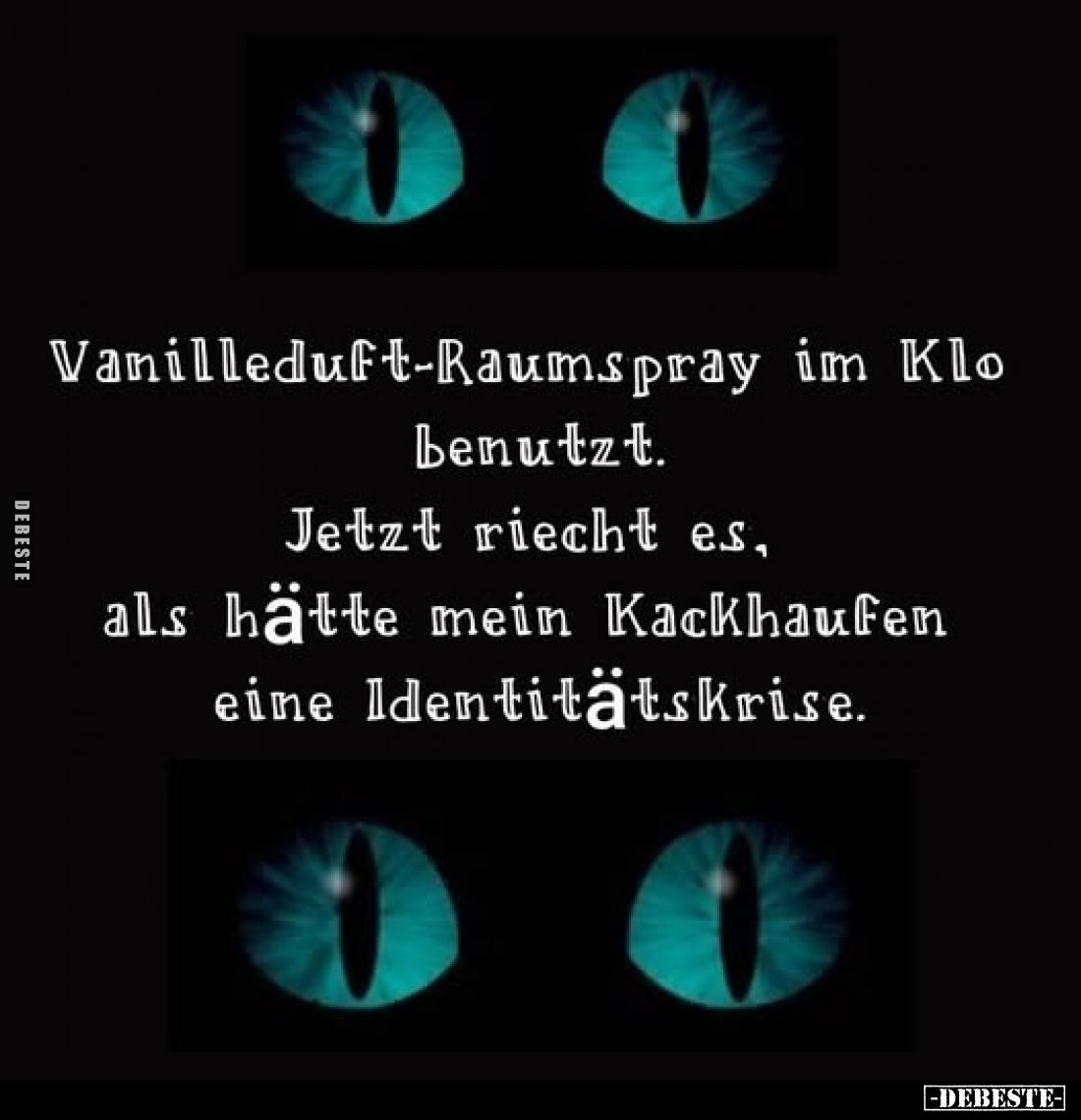 Vanilleduft-Raumspray im Klo benutzt.. - Lustige Bilder | DEBESTE.de