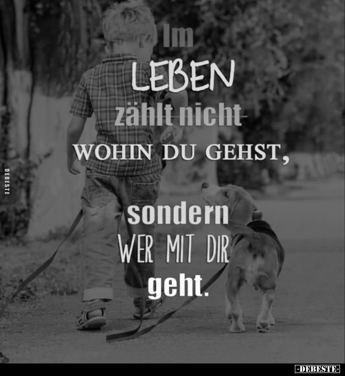 Im Leben zählt nicht wohin du gehst, sondern wer mit dir geht.
