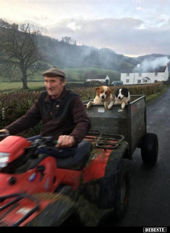  - Lustige Bilder | DEBESTE.de