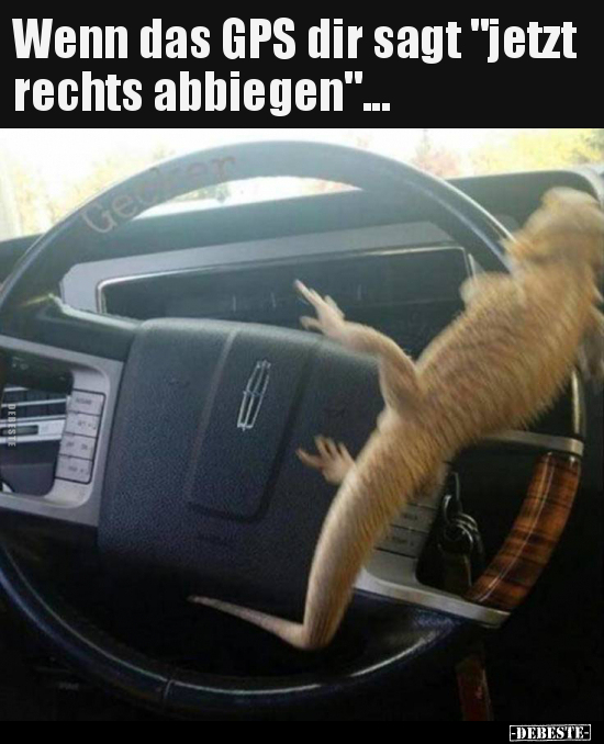 Wenn das GPS dir sagt "jetzt rechts abbiegen"...