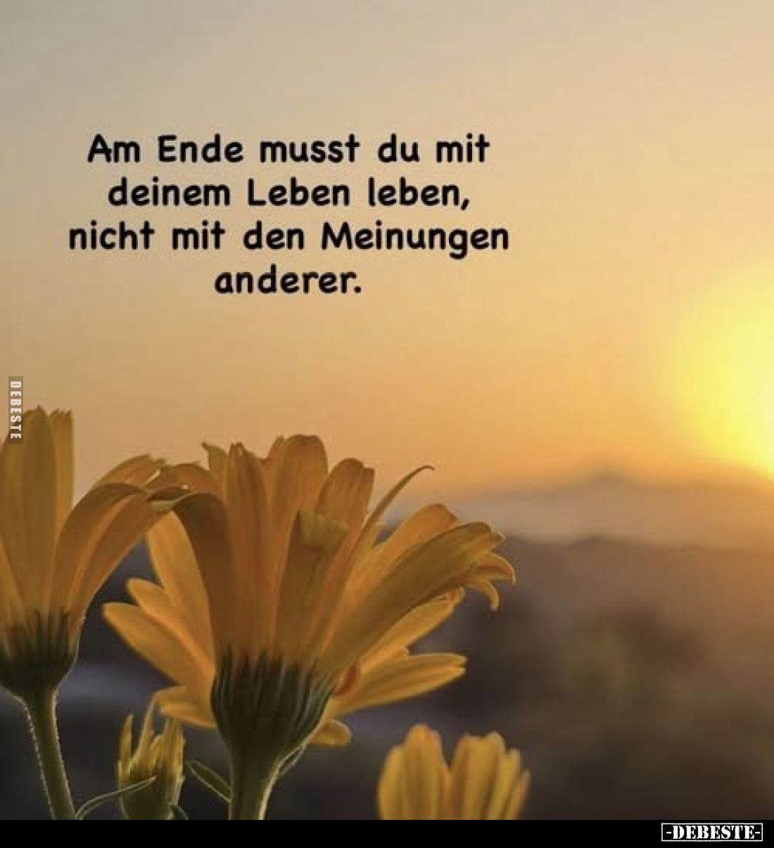 Am Ende musst du mit deinem Leben leben, nicht mit den Meinungen anderer.