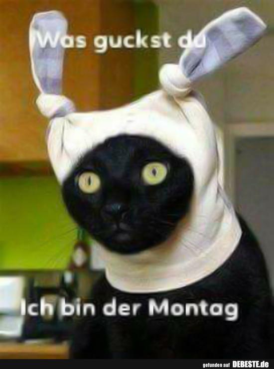 Was guckst du.. Ich bin der Montag.. - Lustige Bilder | DEBESTE.de