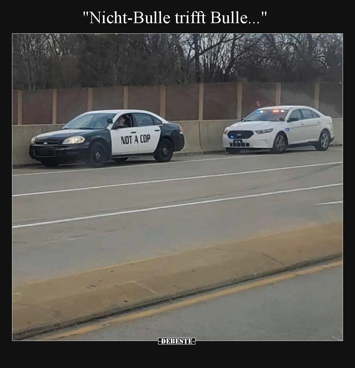 Nicht-Bulle trifft Bulle
