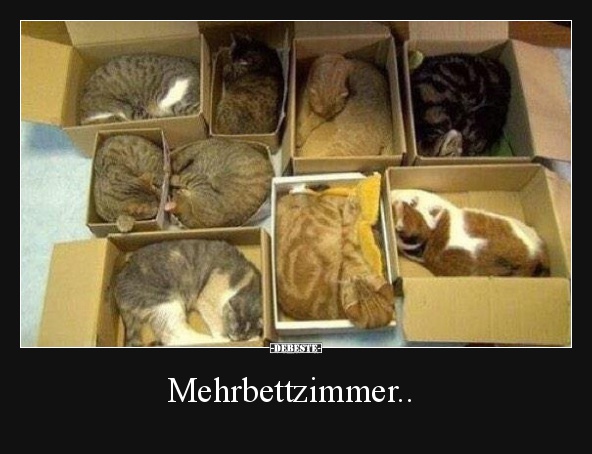 Mehrbettzimmer..