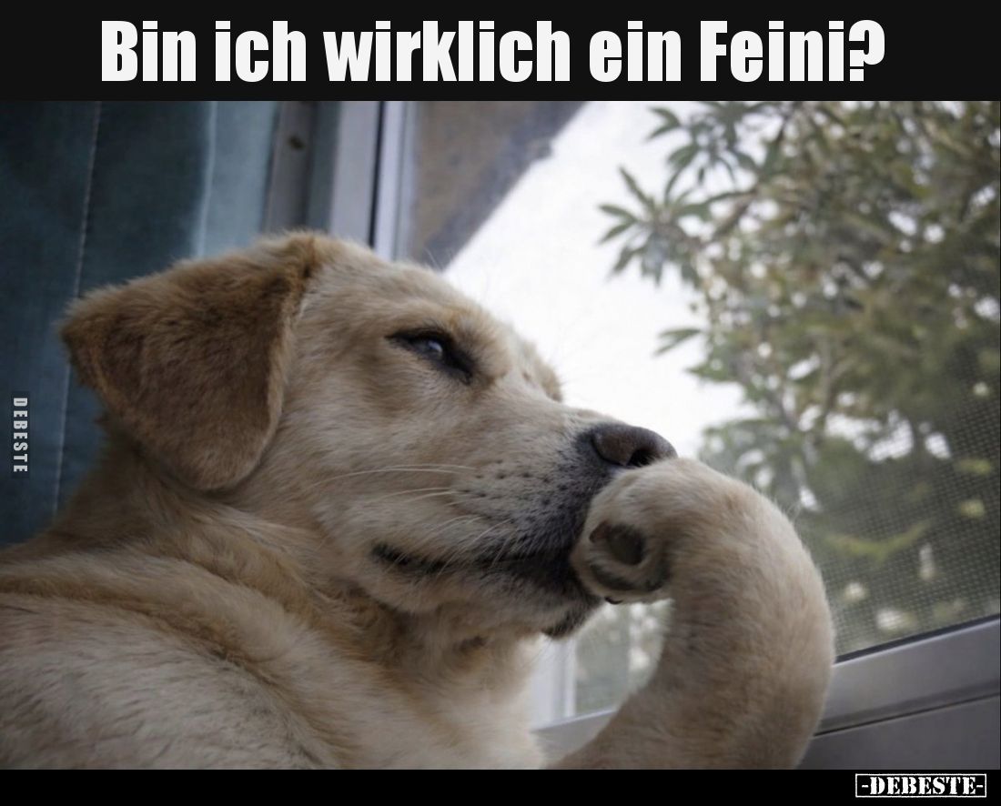Bin ich wirklich ein Feini?