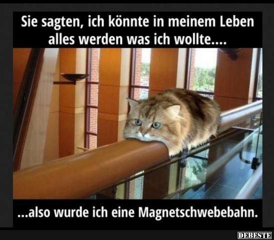 Sie sagten, ich könnte in meinem Leben alles werden..