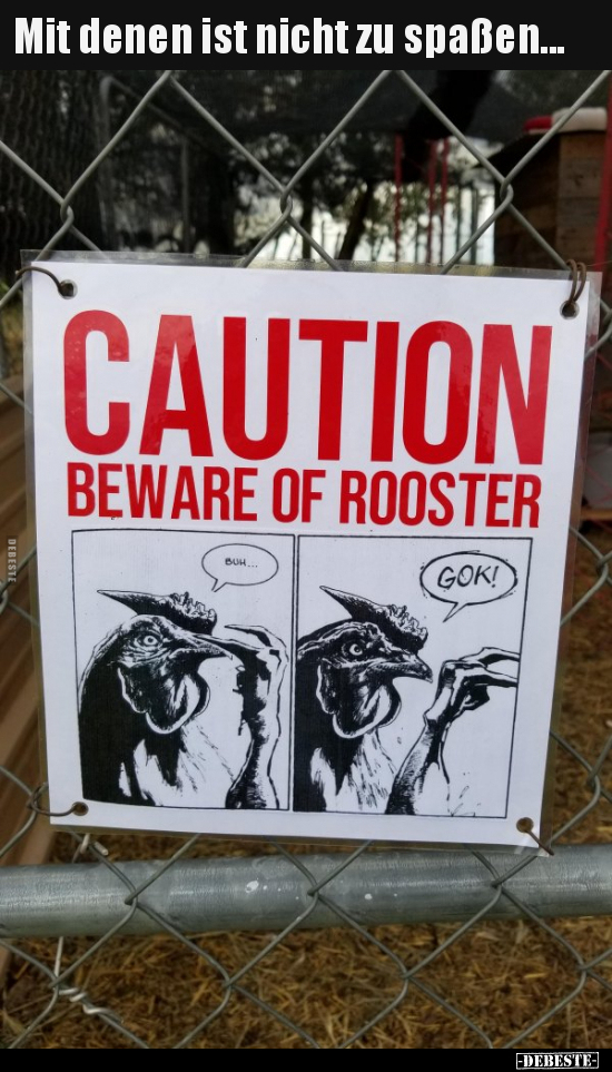 Mit denen ist nicht zu spaßen... - Lustige Bilder | DEBESTE.de
