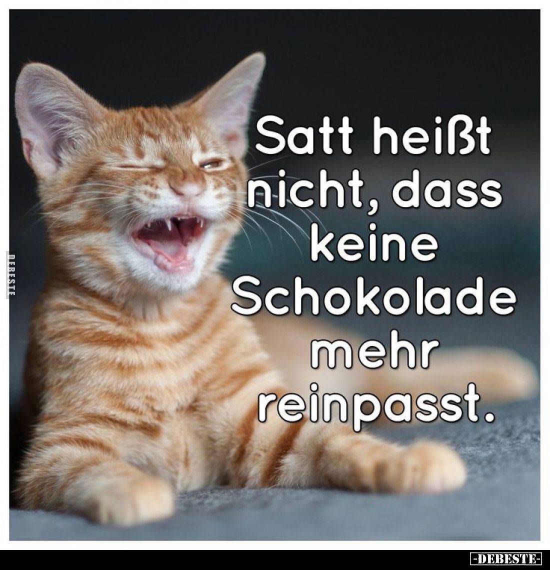 Satt heißt nicht, dass keine Schokolade mehr reinpasst.