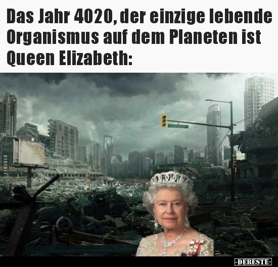 Das Jahr 4020, der einzige lebende Organismus auf dem..