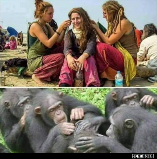  - Lustige Bilder | DEBESTE.de