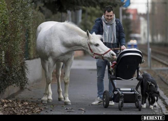  - Lustige Bilder | DEBESTE.de