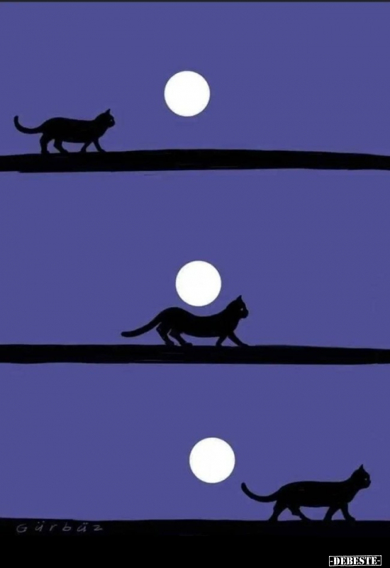  - Lustige Bilder | DEBESTE.de