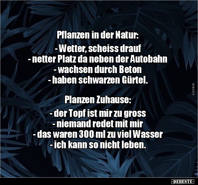 Pflanzen in der Natur: - Wetter, scheiss drauf.. - Lustige Bilder | DEBESTE.de