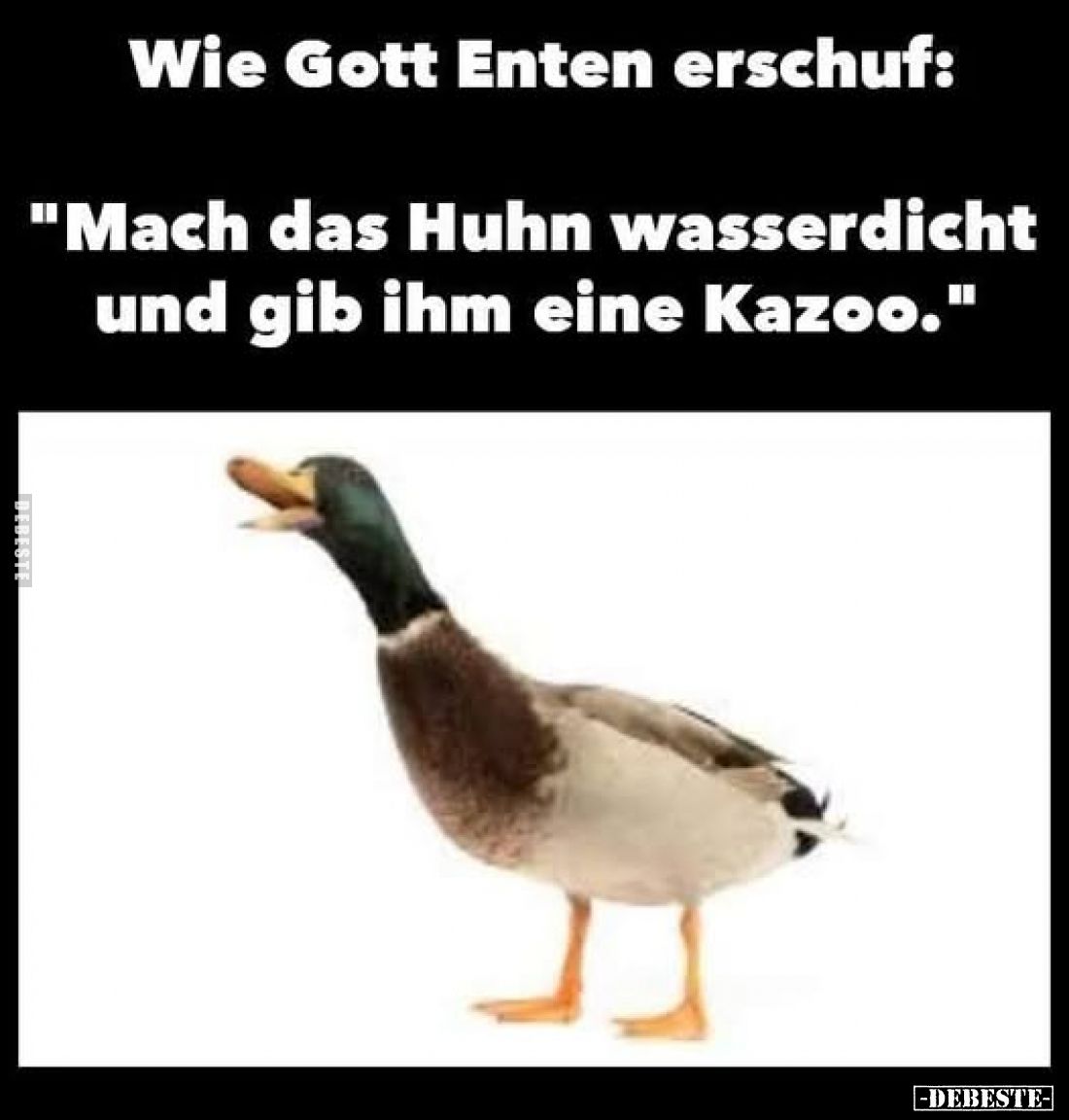 Wie Gott Enten erschuf:
"Mach das Huhn wasserdicht und gib ihm eine Kazoo."