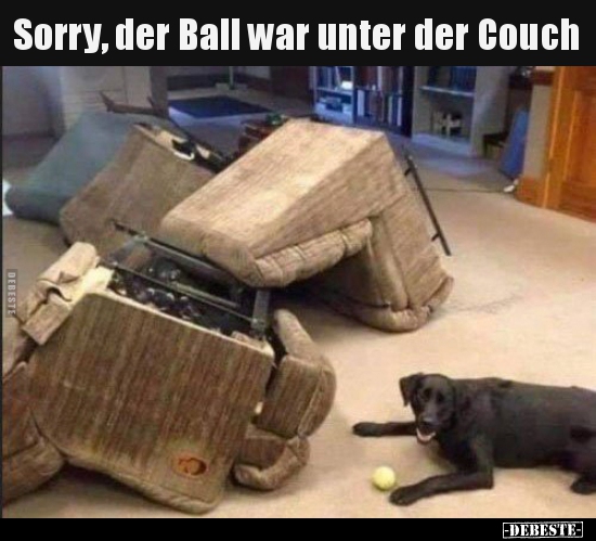 Sorry, der Ball war unter der Couch.. - Lustige Bilder | DEBESTE.de