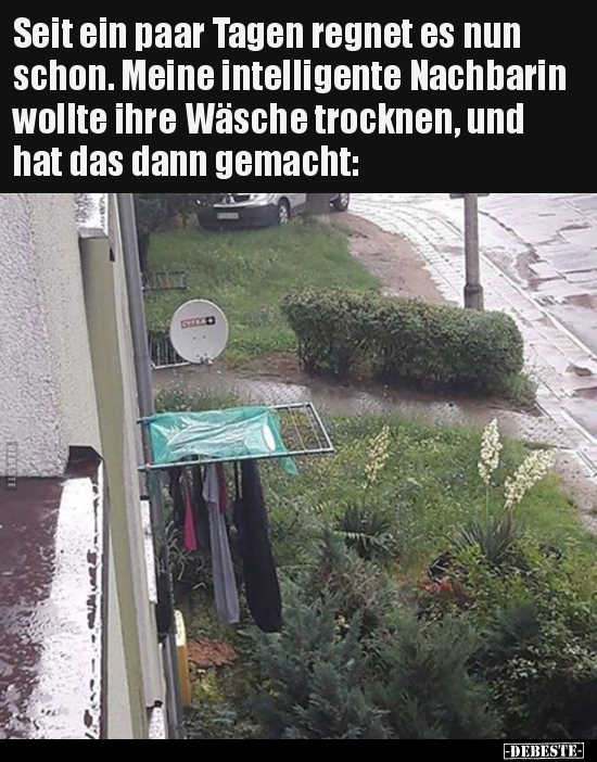 Seit ein paar Tagen regnet es nun schon.. - Lustige Bilder | DEBESTE.de