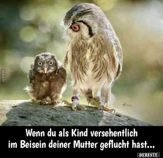 Wenn du als Kind versehentlich im Beisein deiner Mutter.. - Lustige Bilder | DEBESTE.de