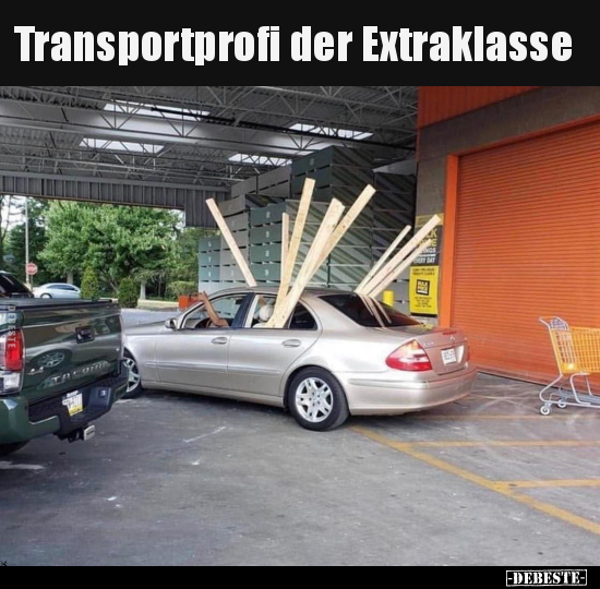 Transportprofi der Extraklasse.. - Lustige Bilder | DEBESTE.de