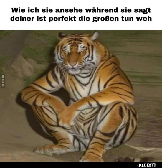 Wie ich sie ansehe während sie sagt deiner ist perfekt die.. - Lustige Bilder | DEBESTE.de