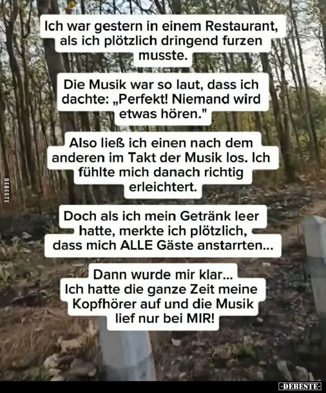 Ich war gestern in einem Restaurant, als ich plötzlich dringend furzen musste.
-
Die Musik war so laut, dass ich dachte: &q...