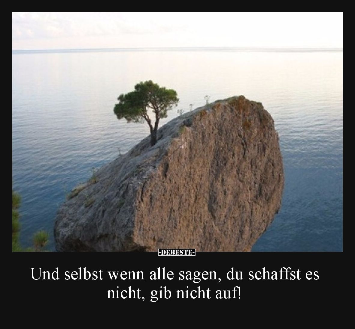 Und selbst wenn alle sagen, du schaffst es nicht, gib nicht auf!