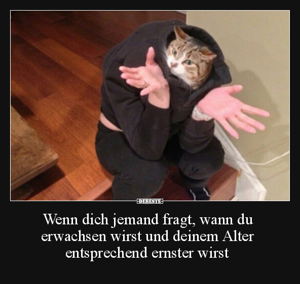 Wenn dich jemand fragt, wann du erwachsen wirst und.. - Lustige Bilder | DEBESTE.de