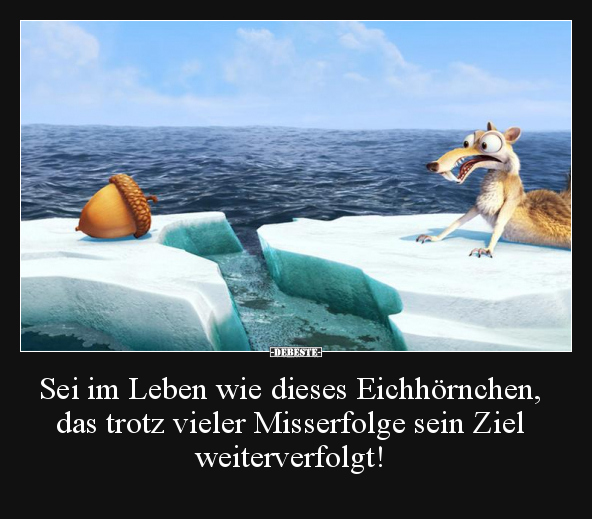 Sei im Leben wie dieses Eichhörnchen, das trotz vieler.. - Lustige Bilder | DEBESTE.de