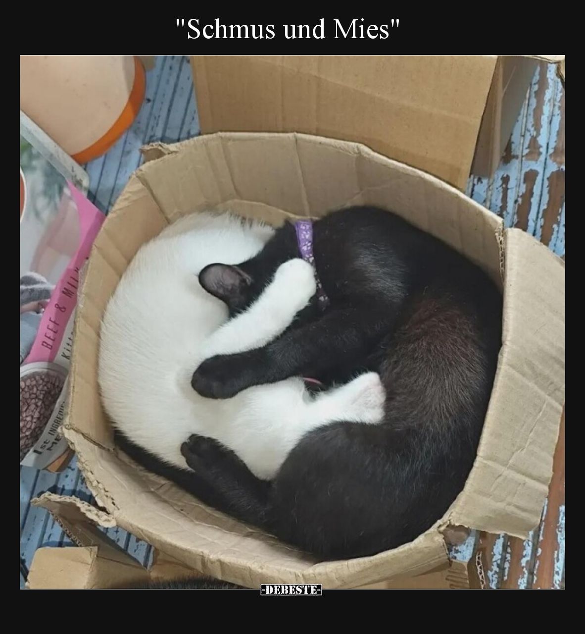 "Schmus und Mies"..