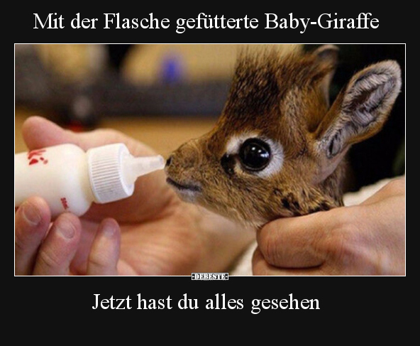 Mit der Flasche gefütterte Baby-Giraffe.. - Lustige Bilder | DEBESTE.de