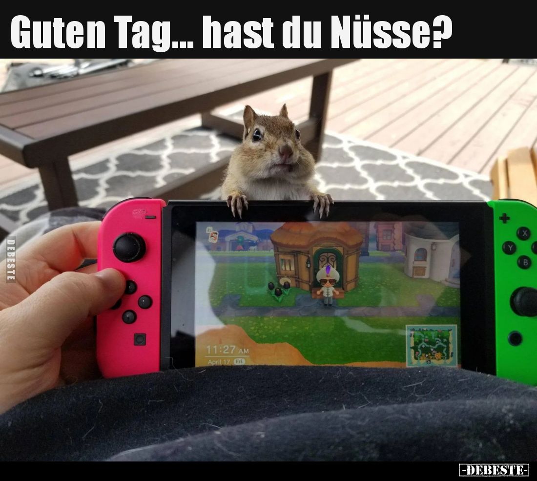 Guten Tag... hast du Nüsse?..