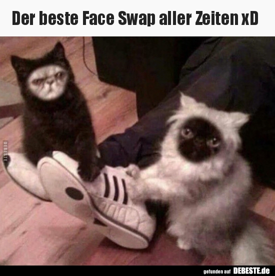 Der beste Face Swap aller Zeiten xD.. - Lustige Bilder | DEBESTE.de
