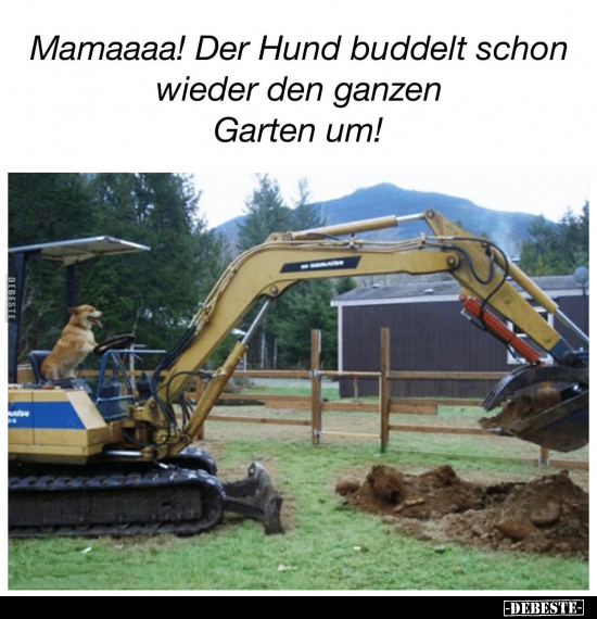 Mamaaaa! Der Hund buddelt schon wieder.. - Lustige Bilder | DEBESTE.de