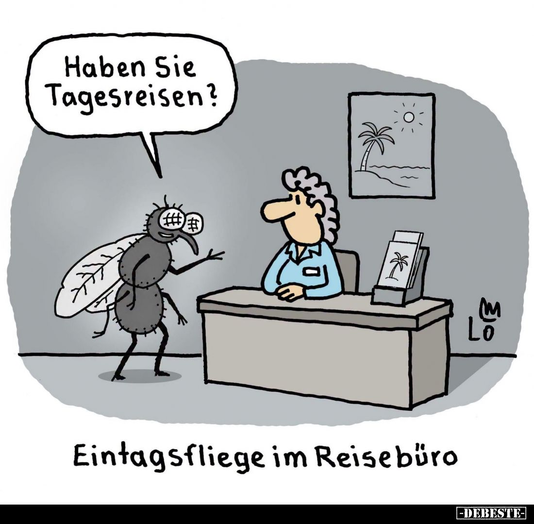 Haben Sie Tagesreisen?
-
Eintagsfliege im Reisebüro
