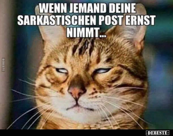 Wenn jemand deine sarkastischen Post ernst nimmt... - Lustige Bilder | DEBESTE.de