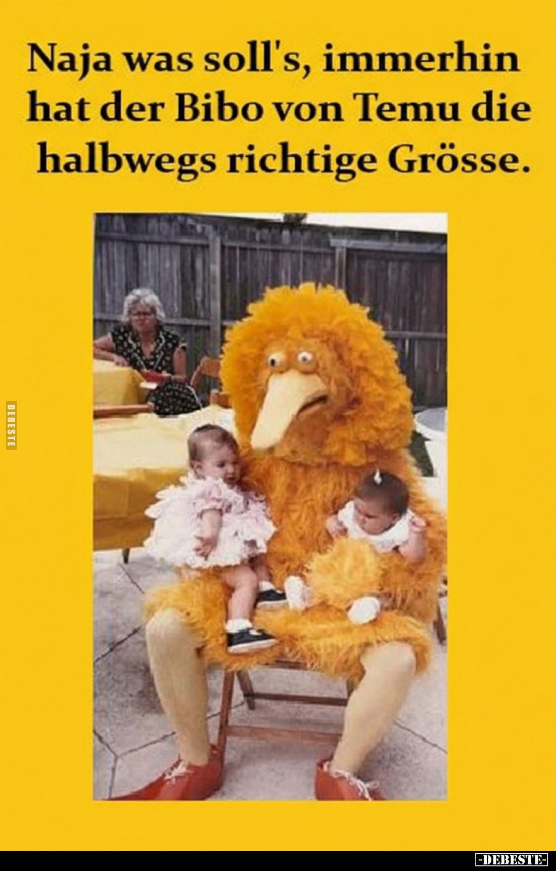 Naja was soll's, immerhin hat der Bibo von Temu die halbwegs richtige Grösse.