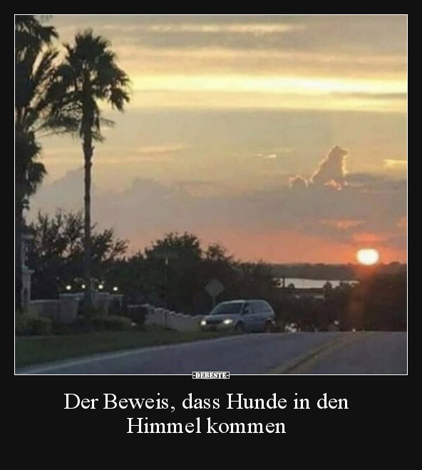 Der Beweis, dass Hunde in den Himmel kommen..