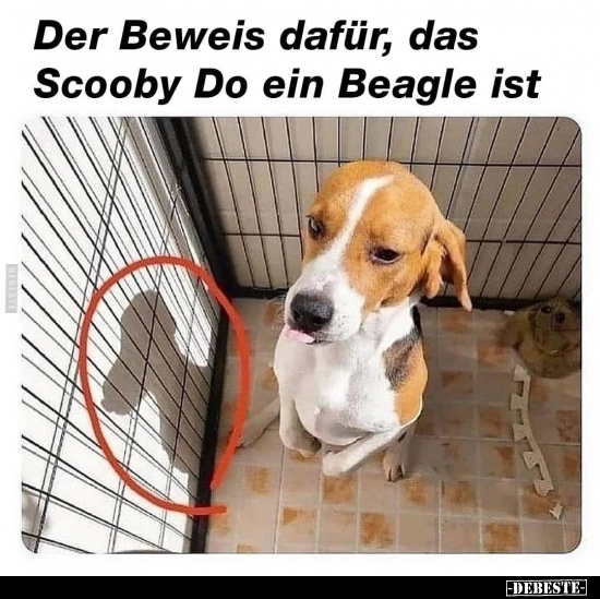 Der Beweis dafür, das Scooby Do ein Beagle ist... - Lustige Bilder | DEBESTE.de