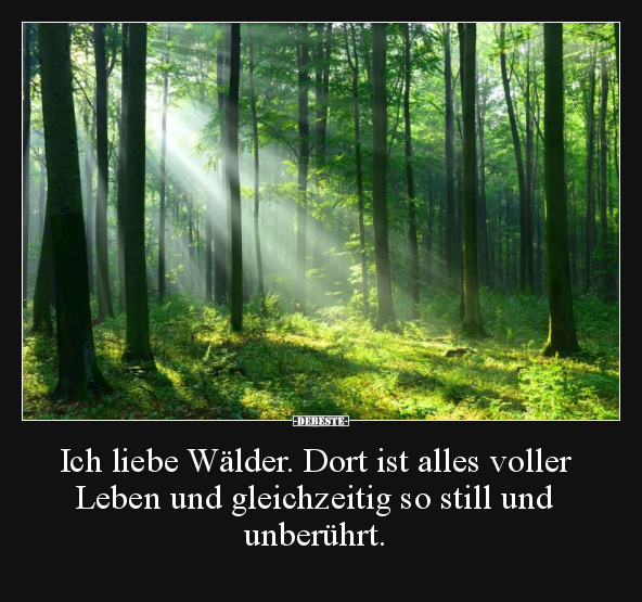 Ich liebe Wälder. Dort ist alles voller Leben.. - Lustige Bilder | DEBESTE.de