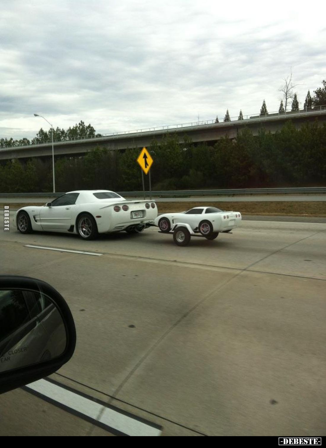  - Lustige Bilder | DEBESTE.de