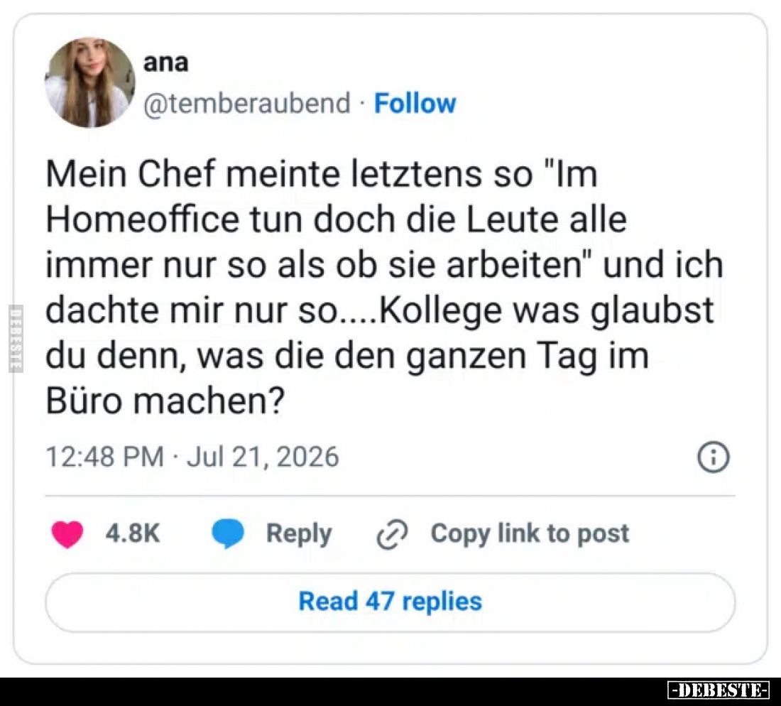 Mein Chef meinte letztens so "Im Homeoffice tun doch die.." - Lustige Bilder | DEBESTE.de