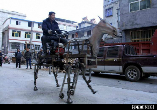  - Lustige Bilder | DEBESTE.de