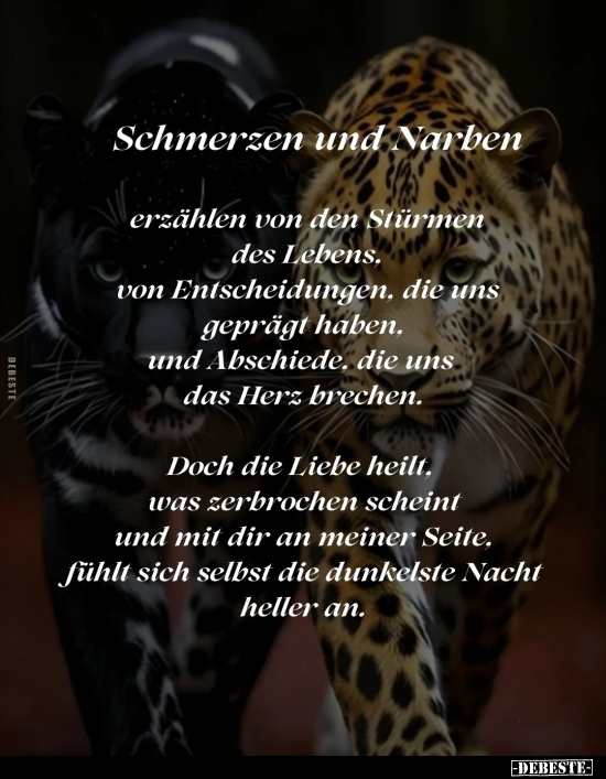 Schmerzen, Lebens, Herz, Doch, Liebe