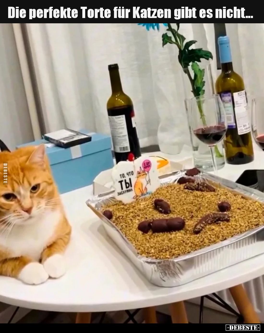 Die perfekte Torte für Katzen gibt es nicht...