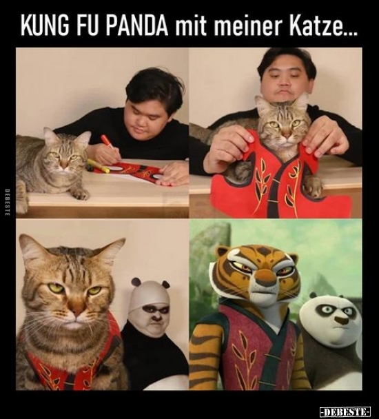 KUNG FU PANDA mit meiner Katze... - Lustige Bilder | DEBESTE.de