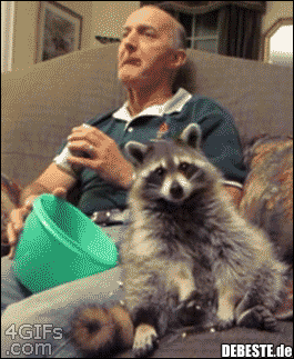  - Lustige Bilder | DEBESTE.de