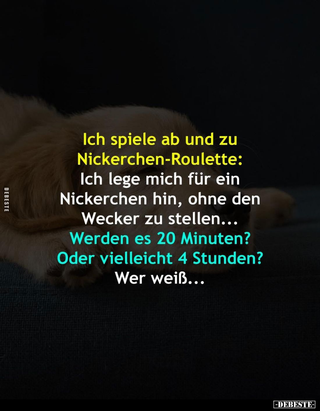 Ich spiele ab und zu Nickerchen-Roulette... - Lustige Bilder | DEBESTE.de